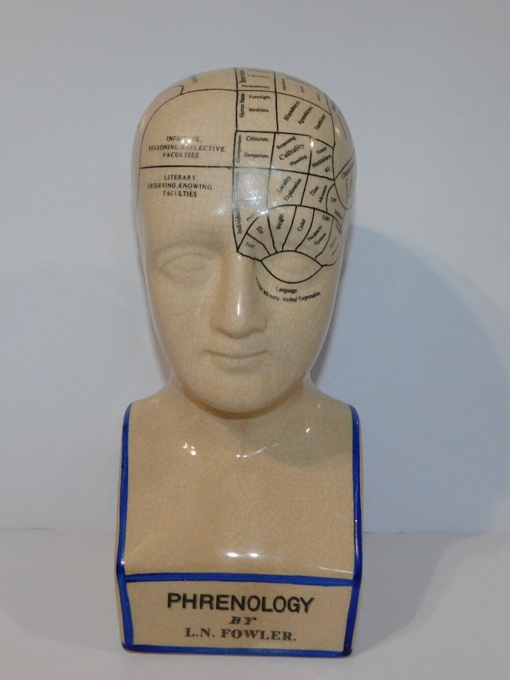 VTG L.N. Fowler Phrenology Head Bust 12.5" Crazed Glaze Ceramic The Human Mind